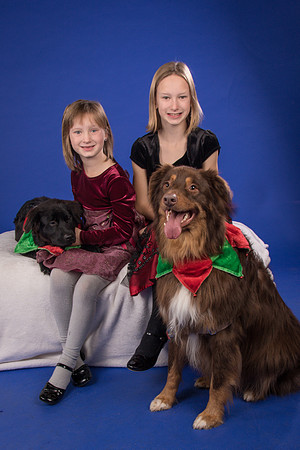 Melton-Hobble and Daisy-4599
