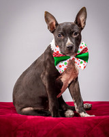 Foster Seymour-3667