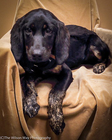 Foster Clementine-1346