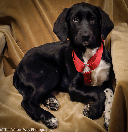 Foster Carolina-0850