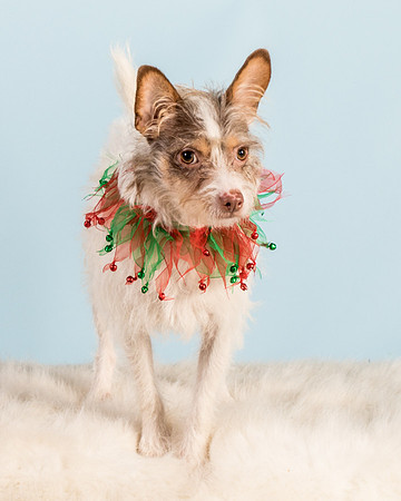 Foster Reagan-4953