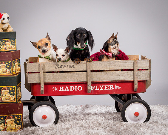 Foster Hospice Gang-3943