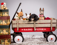 Foster Hospice Gang-3825