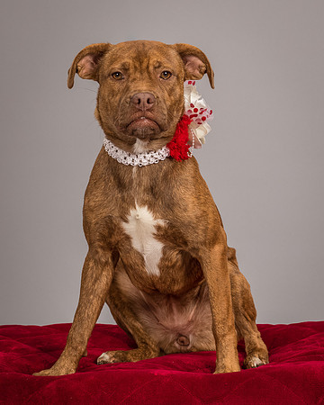Foster Pumpkin-4671