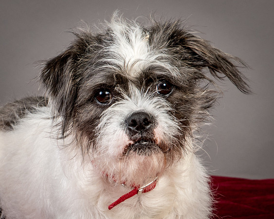 Foster Leeza-2716