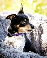 Foster Leela-7931