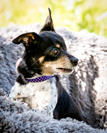 Foster Leela-7931