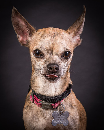 Foster Selina-1266