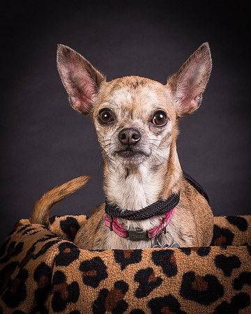 Foster Selina-1159
