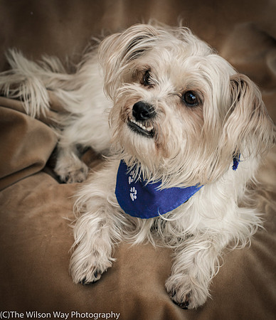 Foster Ricky-9046