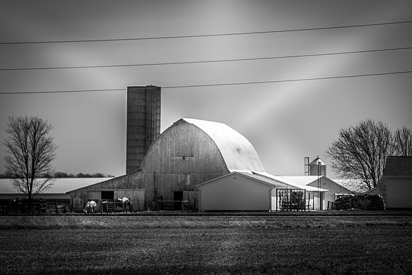 Barn-7559