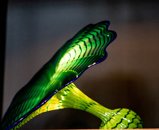 Glass Art-2892