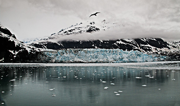 landscape-8529