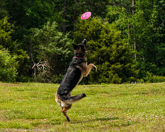 Gretchen-7573