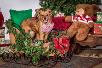 Foster Elyse-3852