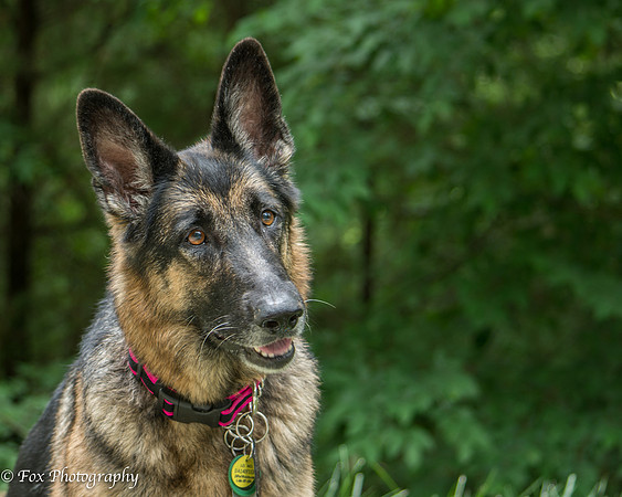gretchen 7-9048