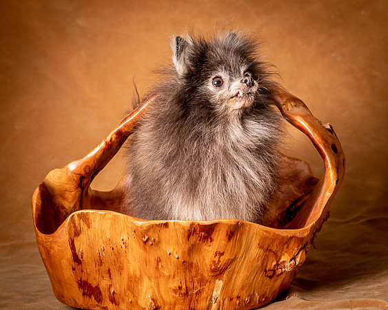 Foster Loretta-1321