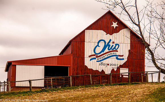Barn-3931