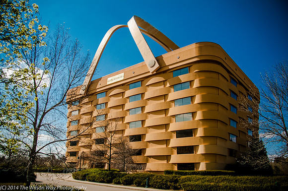 basket Case-4331