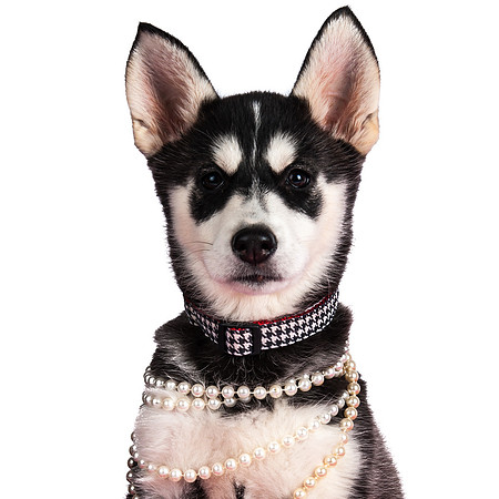 Fosster Zeva in Pearls-5077