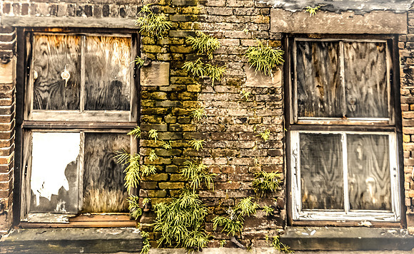Abandanted-1617