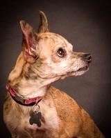 Foster Selina-1077