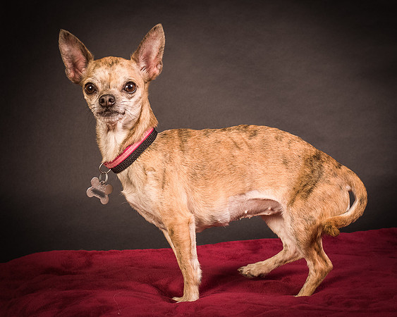 Foster Selina-1055