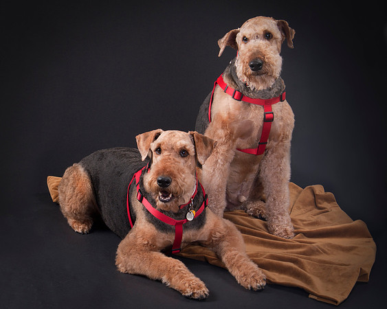 Martha May & Smitty-5203