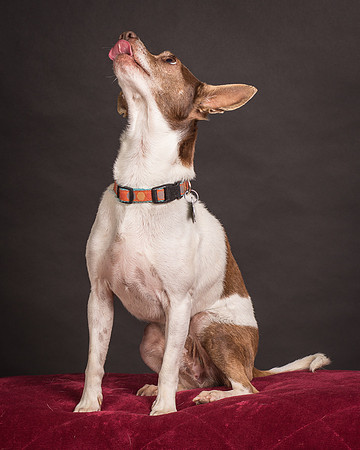 Foster Gus-0342