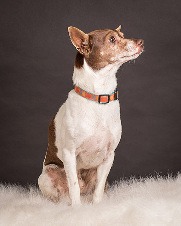 Foster Gus-0325