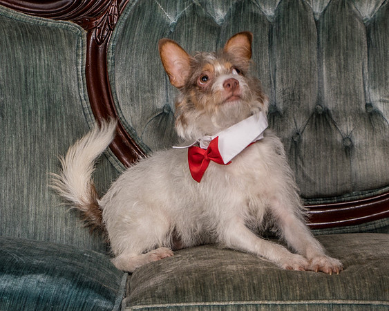 Foster Reagan-4893
