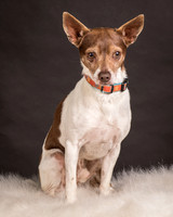 Foster Gus-0297