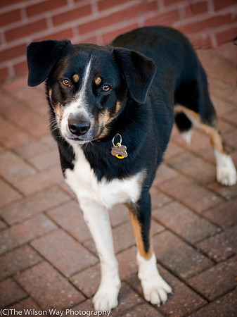 Foster Cady-9875