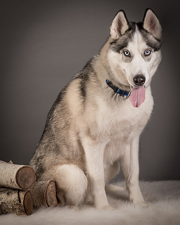 Foster Aspen-7660