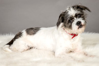 Foster Leeza-2565