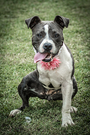 Foster Maya-0318