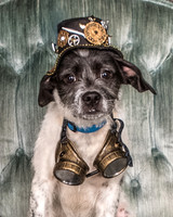 Foster Billie-8153