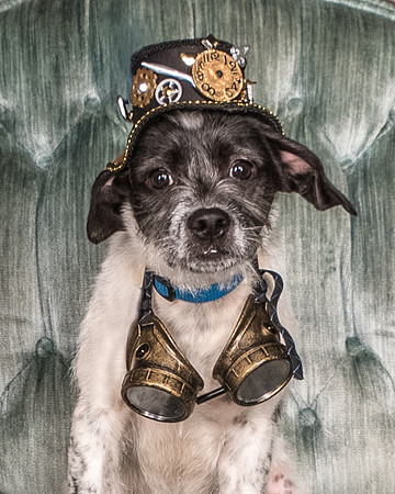 Foster Billie-8153