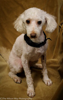 Foster Loretta-0190