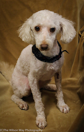 Foster Loretta-0190