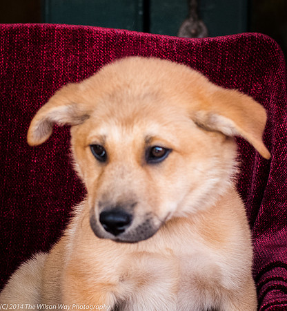 Foster Luca-9021
