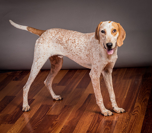 Foster Memphis-2984