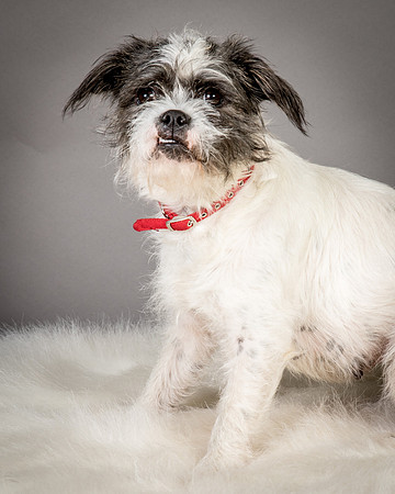 Foster Leeza-2581