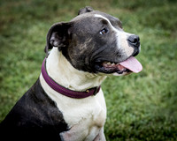 Foster Maya-0241