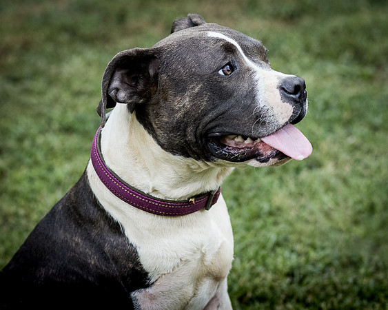 Foster Maya-0241
