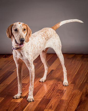 Foster Memphis-3088