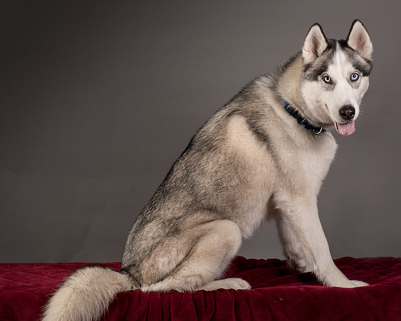 Foster Aspen-7670