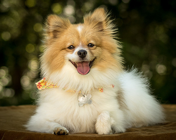 Foster Sydney-7635