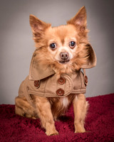 Foster Pancho-9504