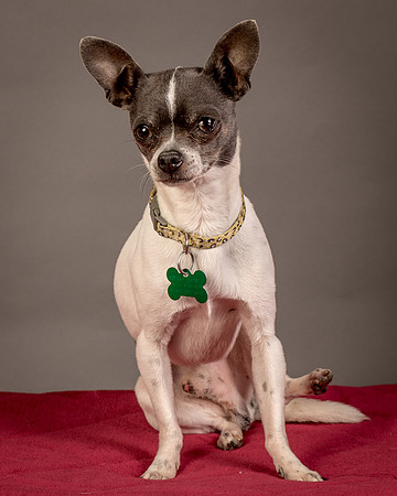 Foster Wesley-4834